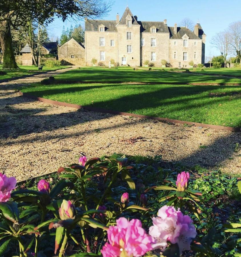 Chateau De Cadouzan Saint-Dolay Exteriér fotografie